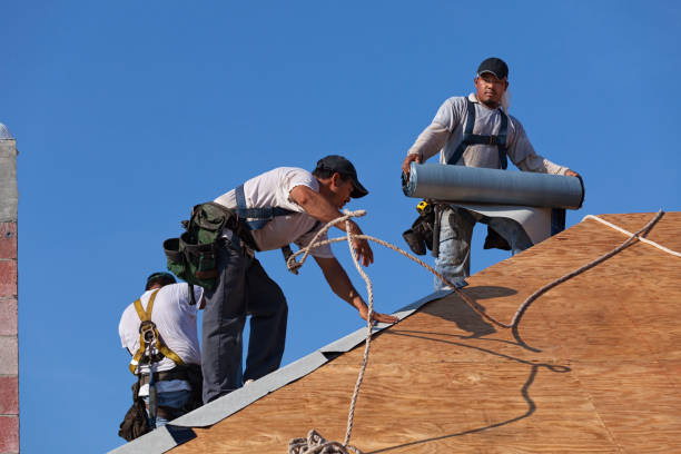 Roof Gutter Cleaning in Valley Springs, CA